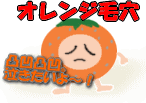 たるみ毛穴(オレンジ毛穴) たるみ毛穴(オレンジ毛穴)